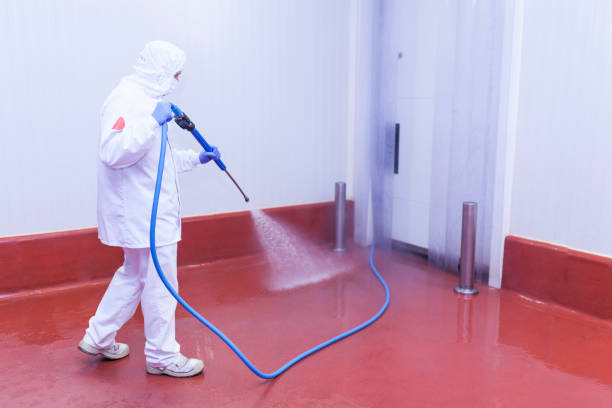 Reliable Grace, ID Pressure Washing Services Solutions