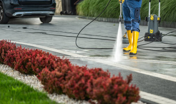 Best Dumpster Area Cleaning  in Grace, ID